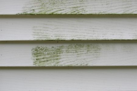 Organic Growth And How Professional Pressure Washing Can Help Keep Your Property Safe